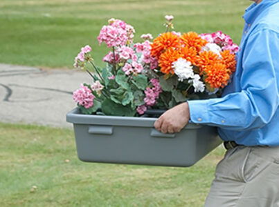 Man transporting flowers in FT2234 flower tray